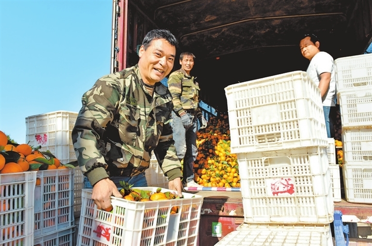 村民正将柑橘装车。 卢晋荥 摄