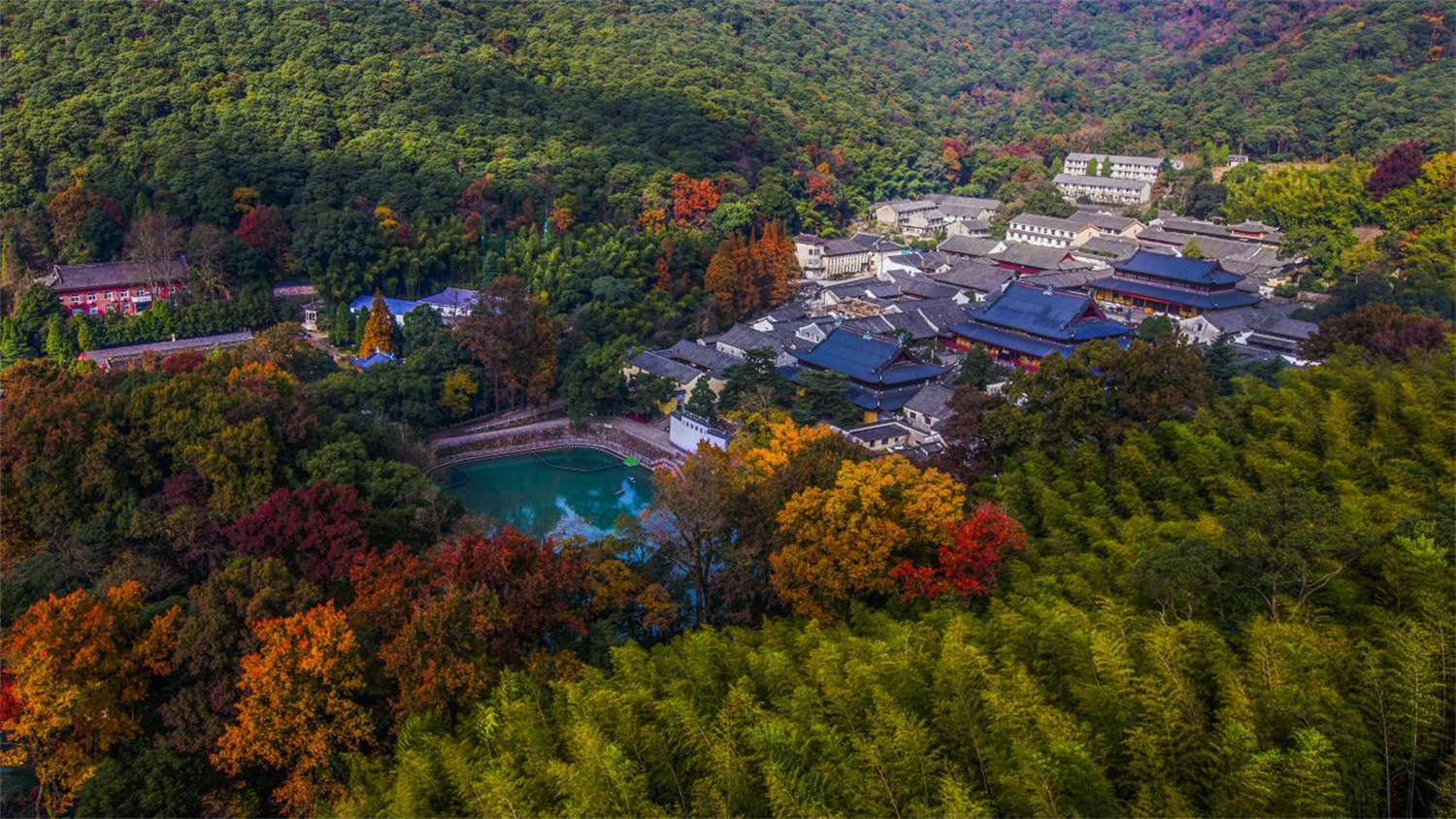 绿满四明映三江，“两山”实践绘就共富篇章——宁波自然资源和规划工作“两山”理念20年综述