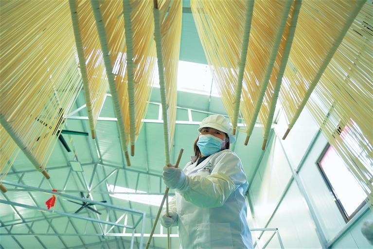 入冬之后，康县传统的纯手工挂面迎来生产、销售旺季，农家院里晾晒的细长挂面成为寒冬乡村的一道靓丽风景。新甘肃·甘肃农民报通讯员　黄培军