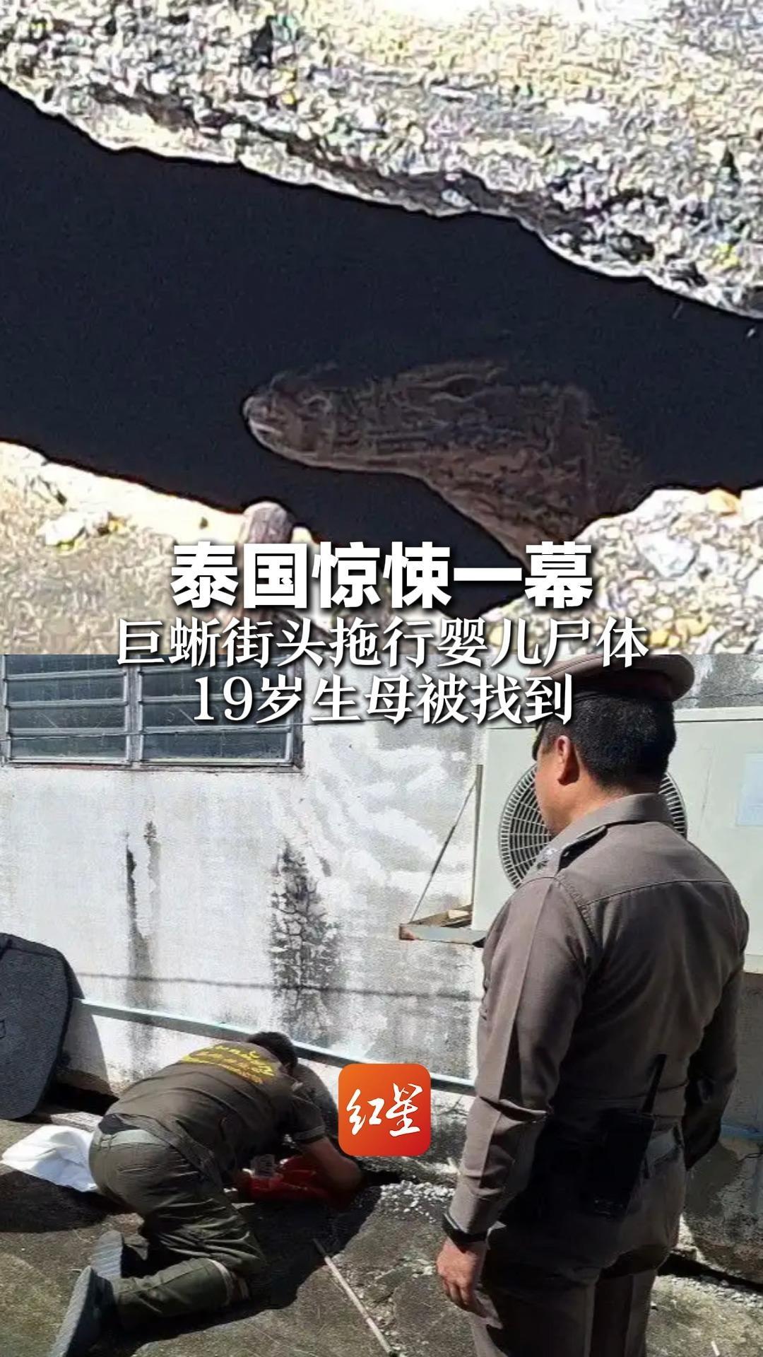 泰国惊悚一幕 巨蜥街头拖行婴儿尸体 19岁生母被找到 “洗澡滑倒后慌乱产子”