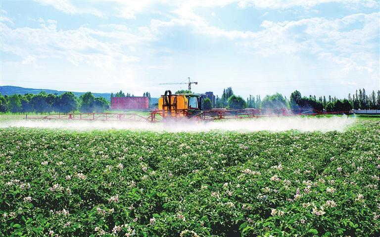 从“靠天吃饭”到“科技种田”,定西农业迎来科技赋能的蝶变。杨大巍