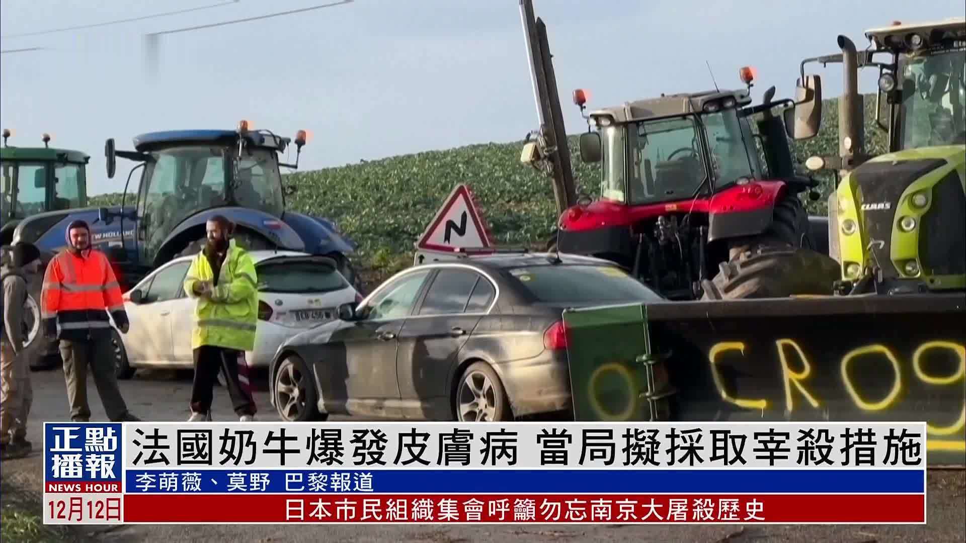 法国奶牛爆发皮肤病 当局拟采取宰杀措施 引发农民抗议_凤凰网视频_凤凰网
