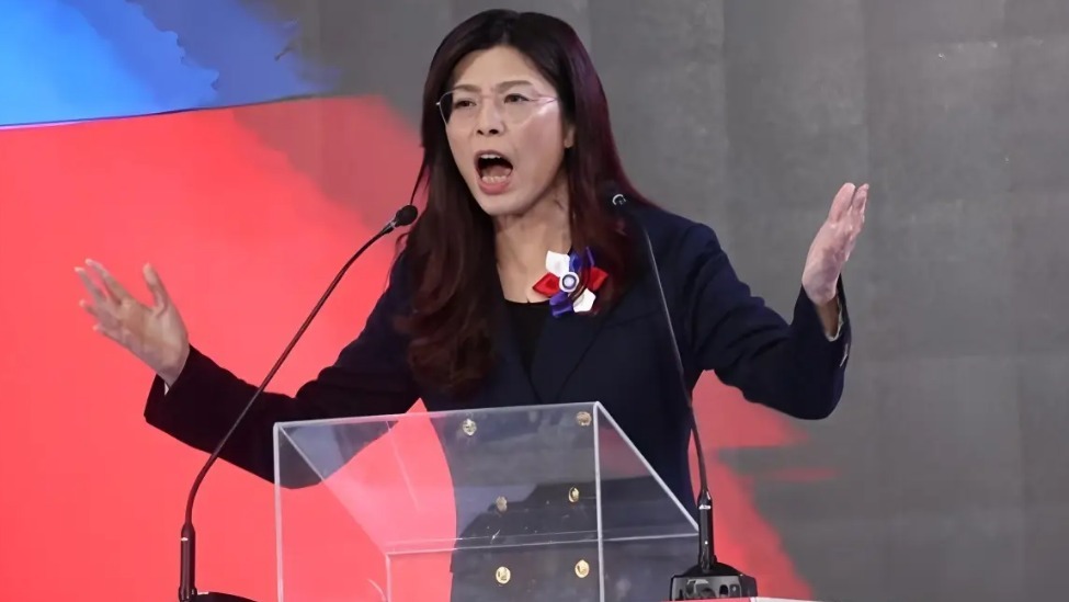 郑丽文批民进党：所谓“打诈”只是幌子，实际就是意识形态作祟