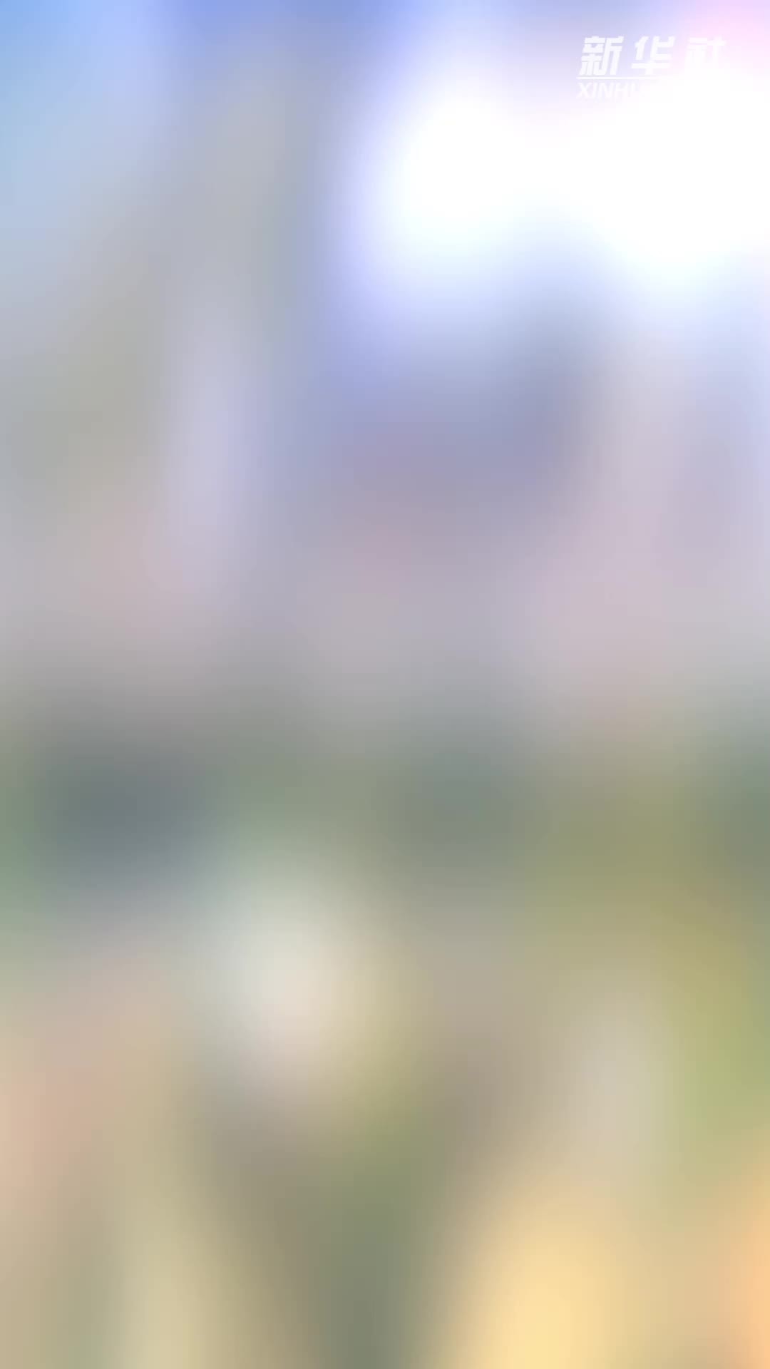 从“试验田”到“增长极”自贸试验区创新潮涌向未来