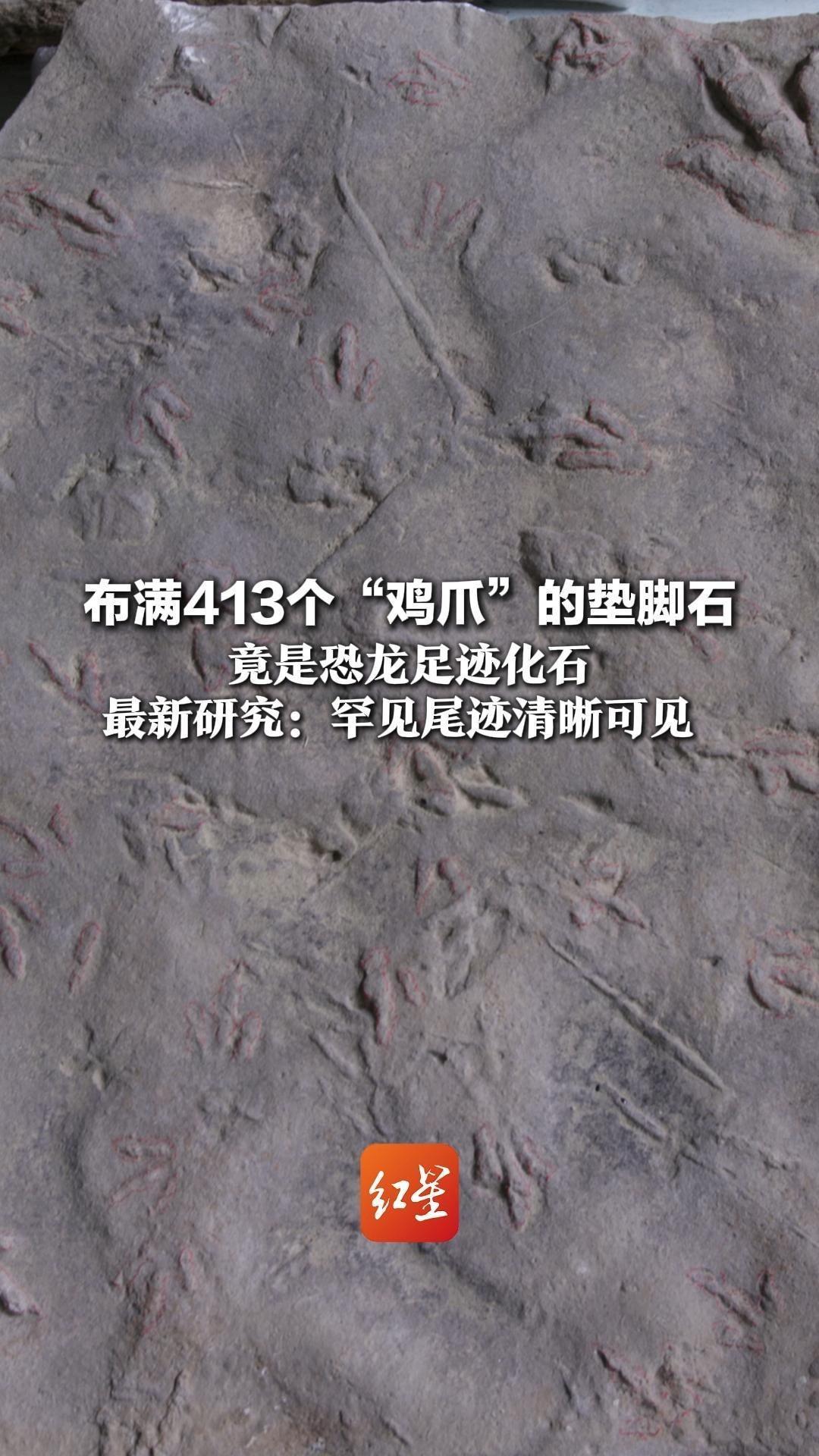 布满413个“鸡爪”的垫脚石竟是恐龙足迹化石 最新研究：罕见尾迹清晰可见  小型兽脚类恐龙可能像鸟类“接地奔跑”