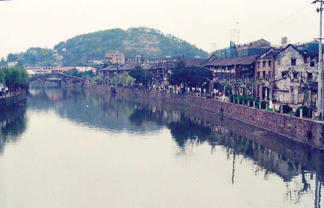 砥砺40年 奋进新征程｜四秩芳华织锦绣 满城青绿入画来