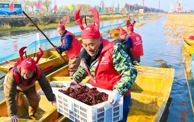 潜江龙虾冬季捕捞