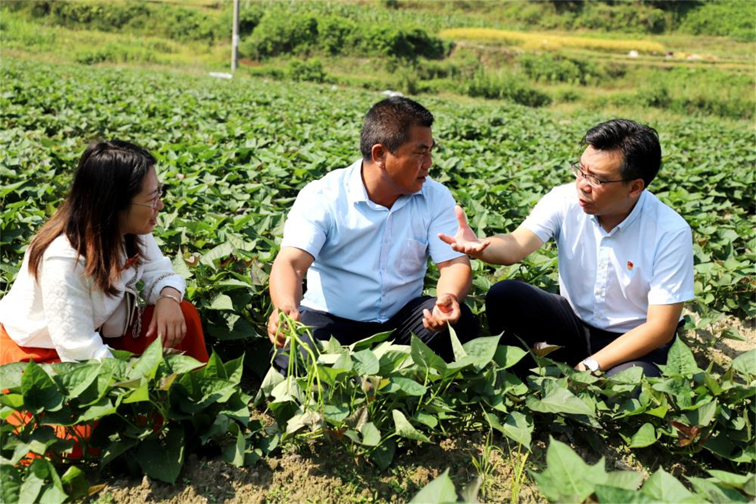 總保費邁上7000億平臺，中國人壽遞交新時代為民答卷