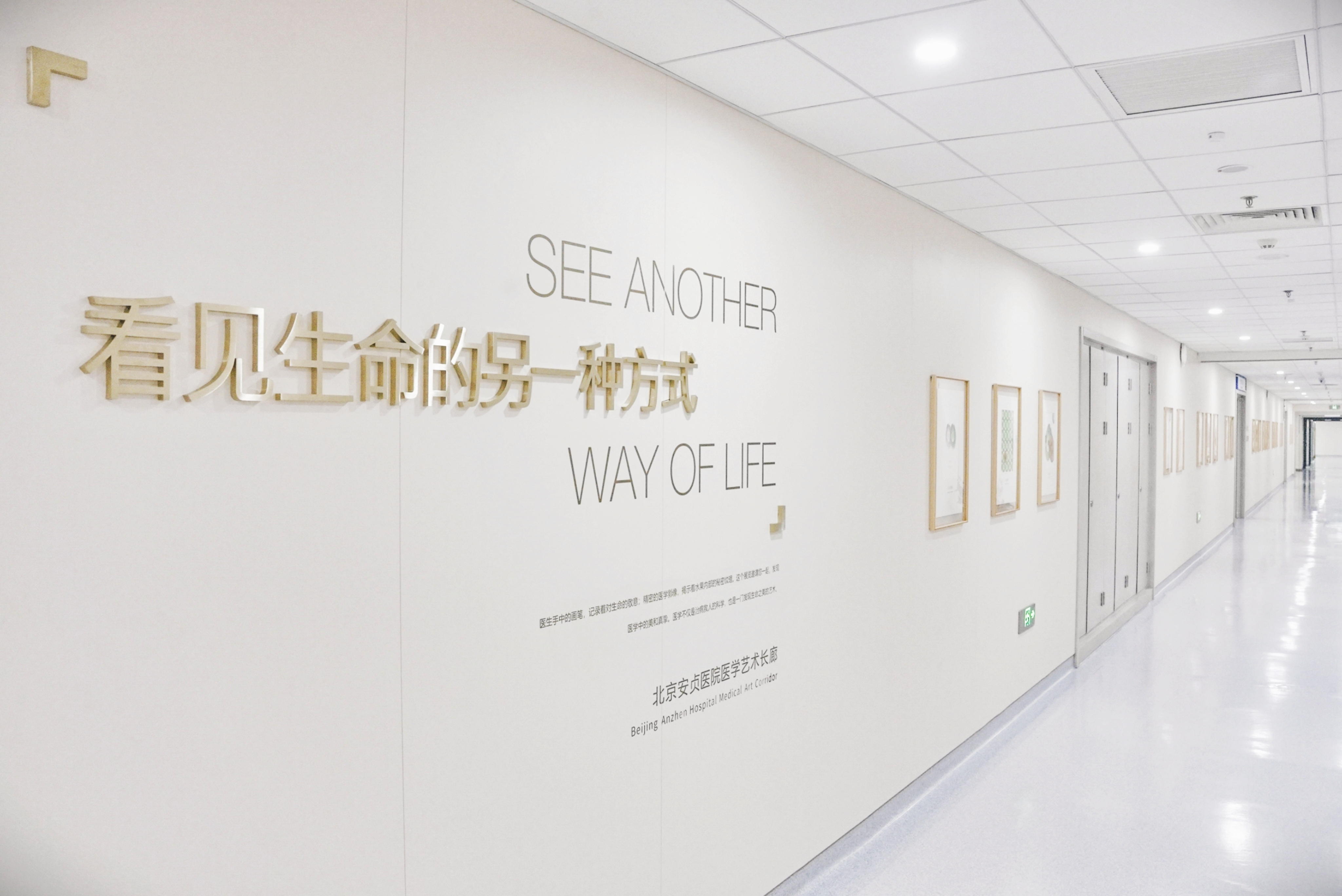 北京安贞医院医学&艺术文化长廊实景