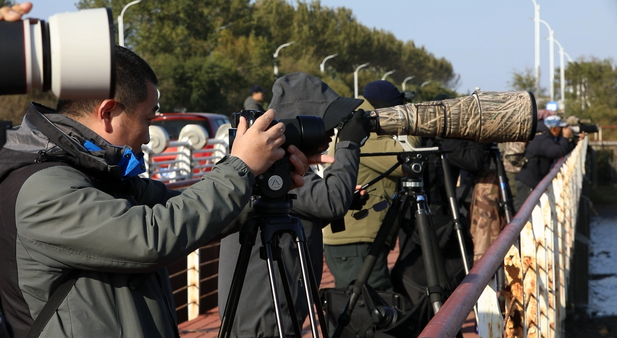 摄影爱好者拍摄候鸟（央广网见习记者 张润 摄）