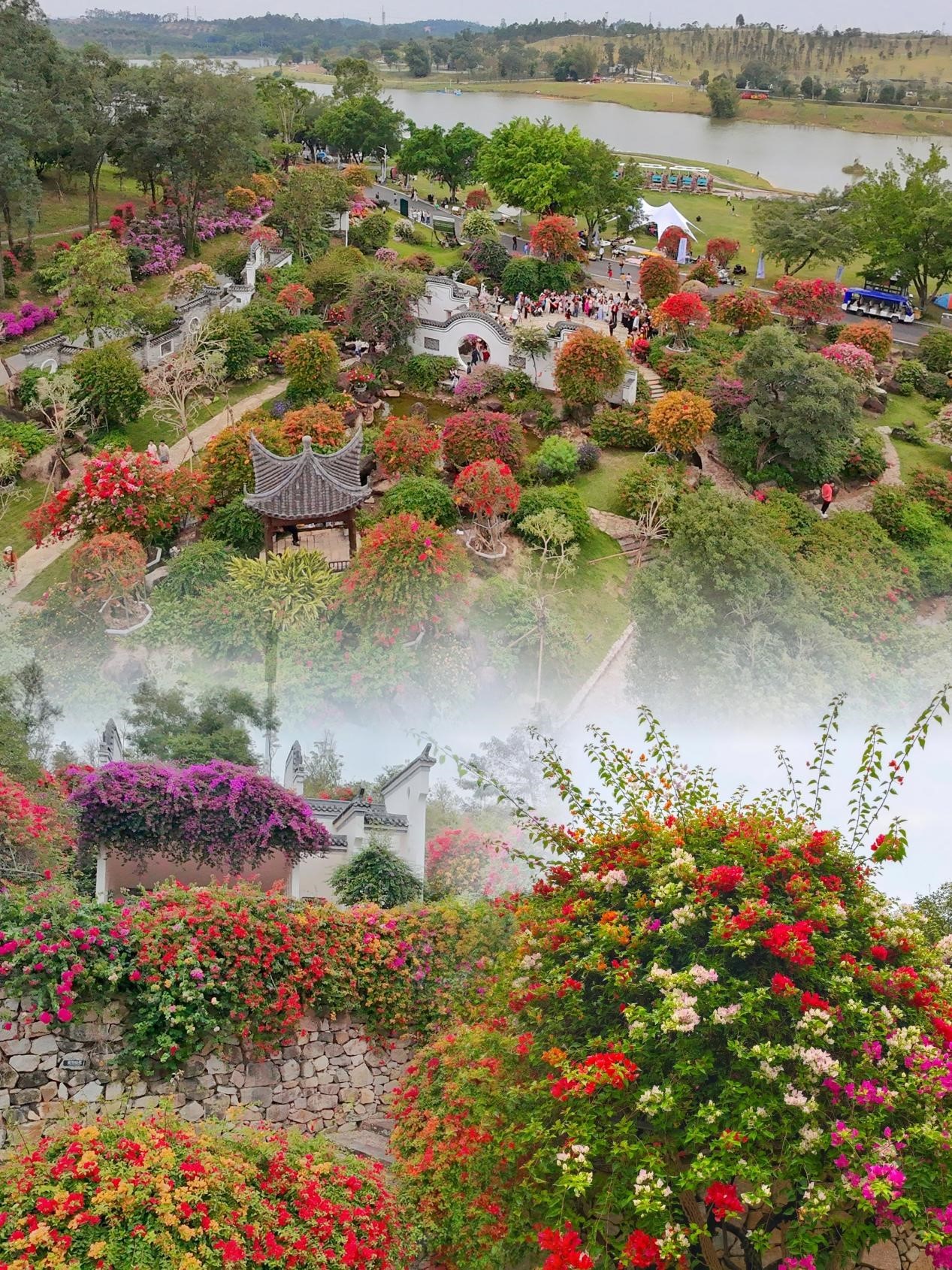 萌宠当家，花海为伴！广州马岭植物园成亲子露营打卡新热点