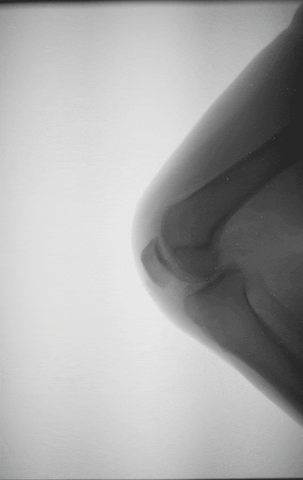 ▲图片来源：Giphy