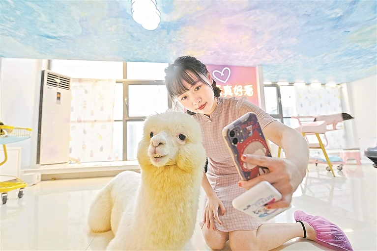 在南昌市某“萌宠吧”,一名女孩和萌宠合影。本报全媒体首席记者 李 劼摄