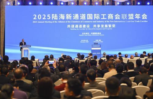 ▲2025年12月10日,2025陆海新通道国际工商会联盟年会在重庆举行。 记者 谢智强 摄/视觉重庆