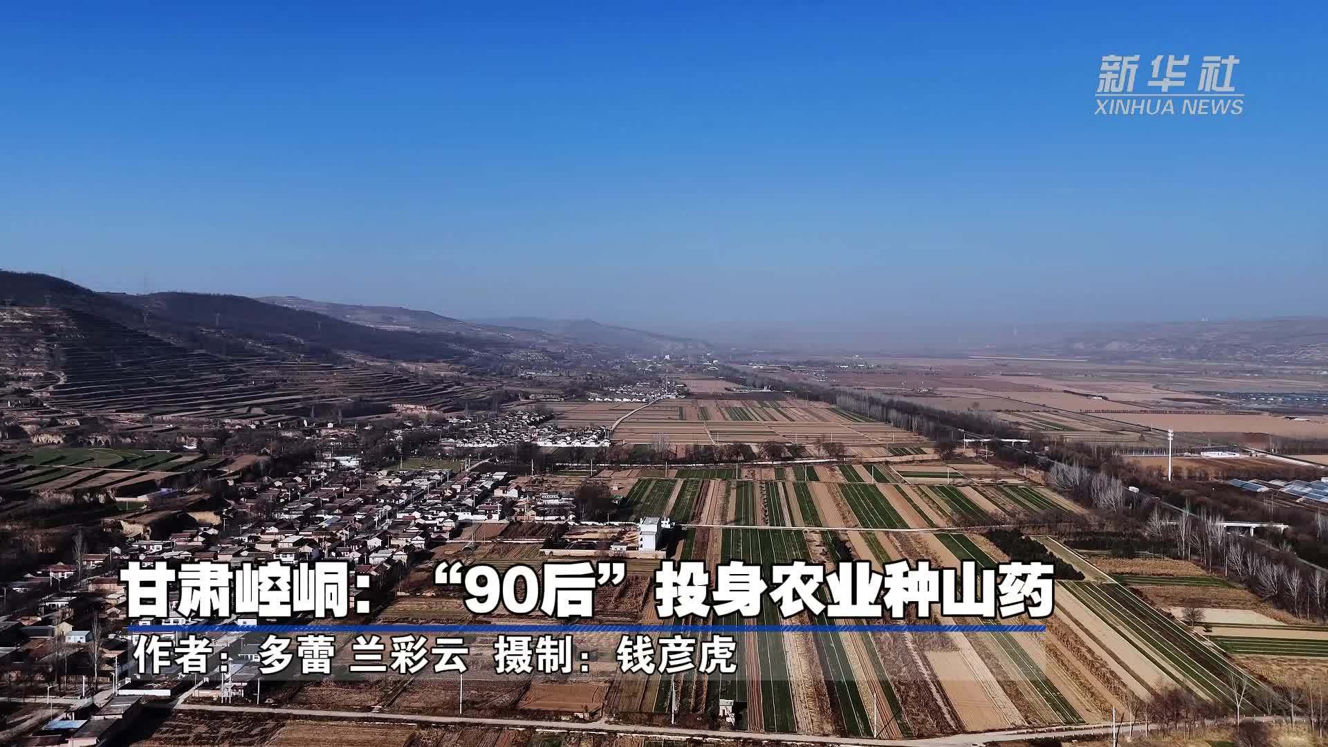 甘肃崆峒：“90后”投身农业种山药