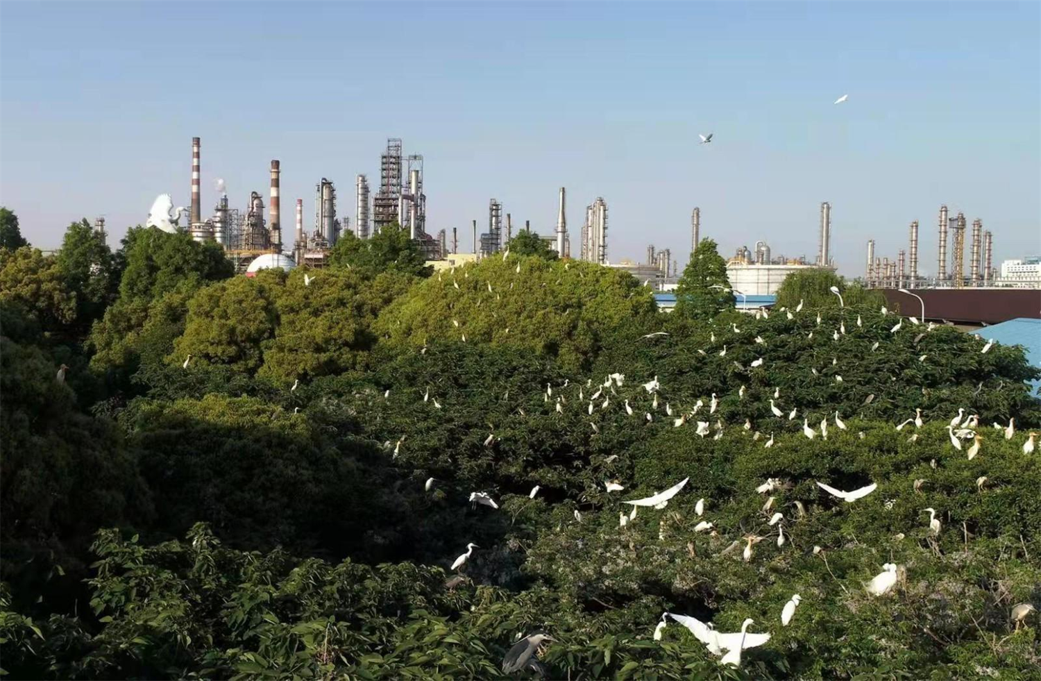 绿满四明映三江，“两山”实践绘就共富篇章——宁波自然资源和规划工作“两山”理念20年综述