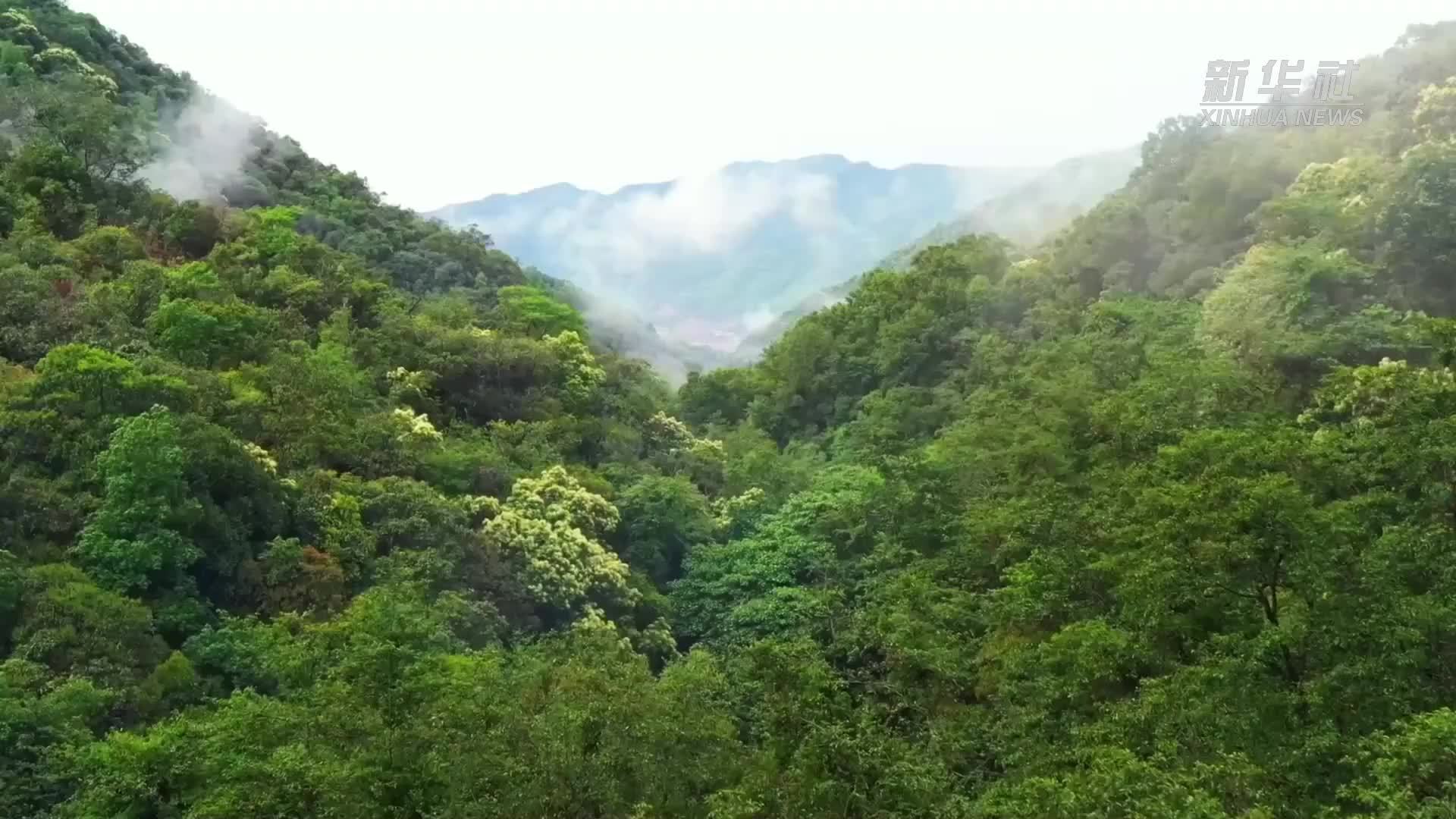 新技术、新模式助力植物化学研究——访中国科学院院士郝小江