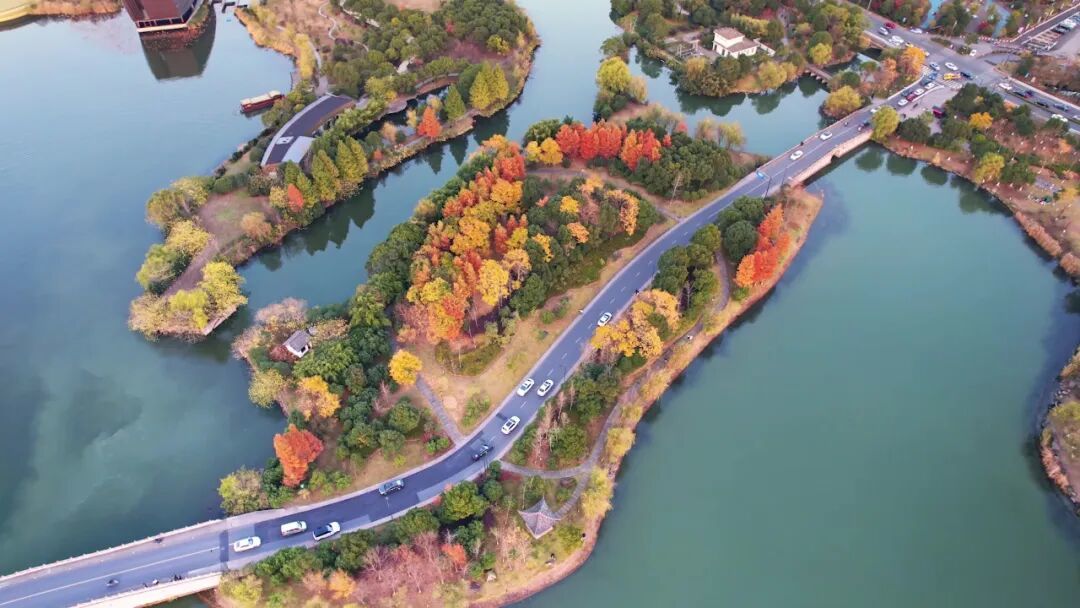 最美的时候到了！宁波市区出发，直达