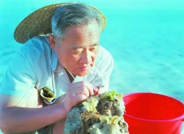 1980年,曾呈奎在西沙群岛采集海藻标本 (图源:澎湃新闻)