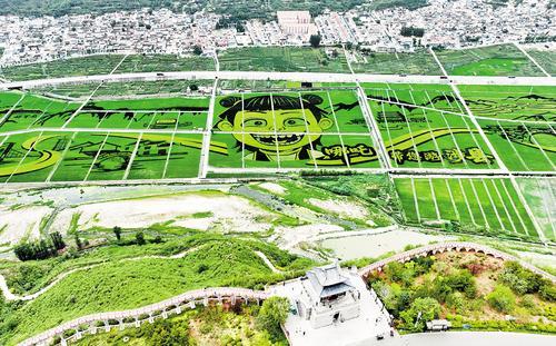10月10日航拍的涉县东山大地景观稻田画。（本报资料片） 杨彦忠摄