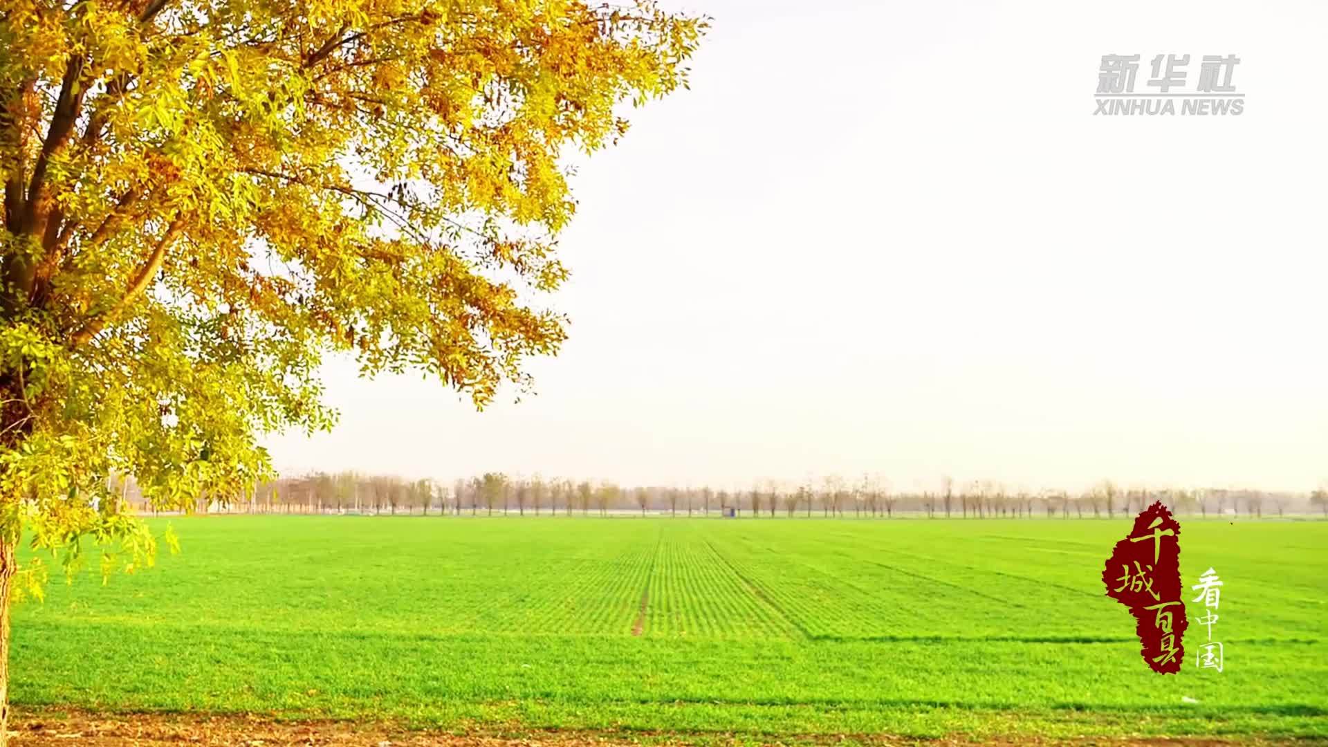千城百县看中国丨北京顺义：冬日沃野 静候春归