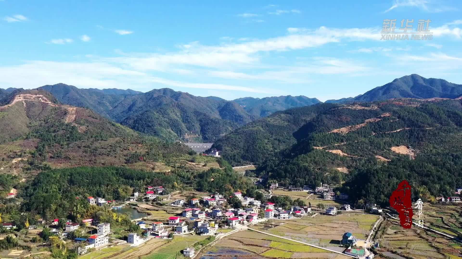千城百县看中国｜湖南东安：“树说”和美乡村