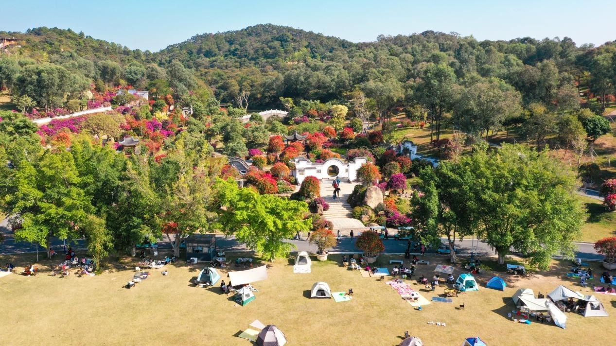 萌宠当家，花海为伴！广州马岭植物园成亲子露营打卡新热点