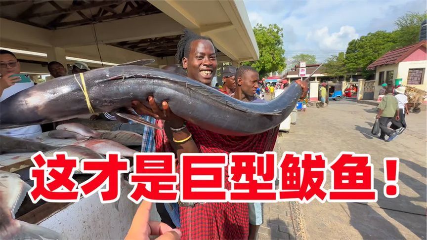 别眨眼！330元：我拿下了非洲当地最大鲅鱼，有多大？你可坐稳了