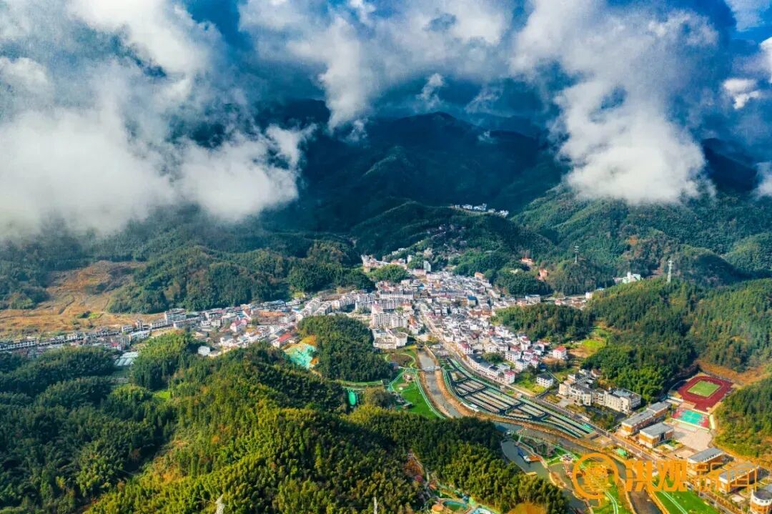 完成营造林任务2.2万亩!今年南昌超额完成营造林任务