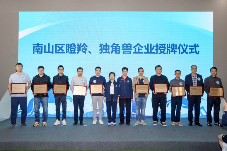 南山“羽企同行”系列赛收官,以赛为媒构建全周期企业服务生态
