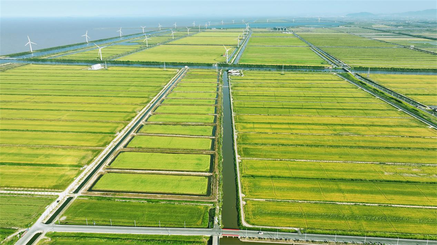 绿满四明映三江，“两山”实践绘就共富篇章——宁波自然资源和规划工作“两山”理念20年综述