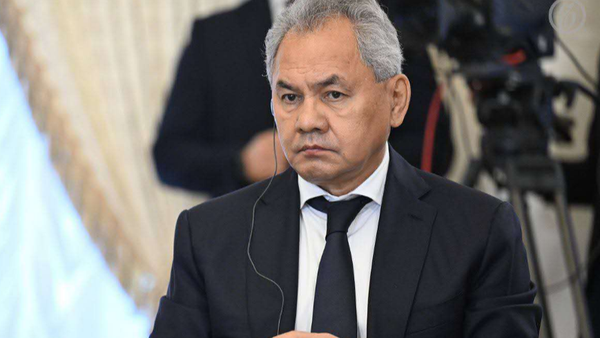 绍伊古：俄不会对日本好战政策坐视不理