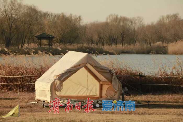 风过苇梢,湖映冬阳 济西湿地的冬日限定美好