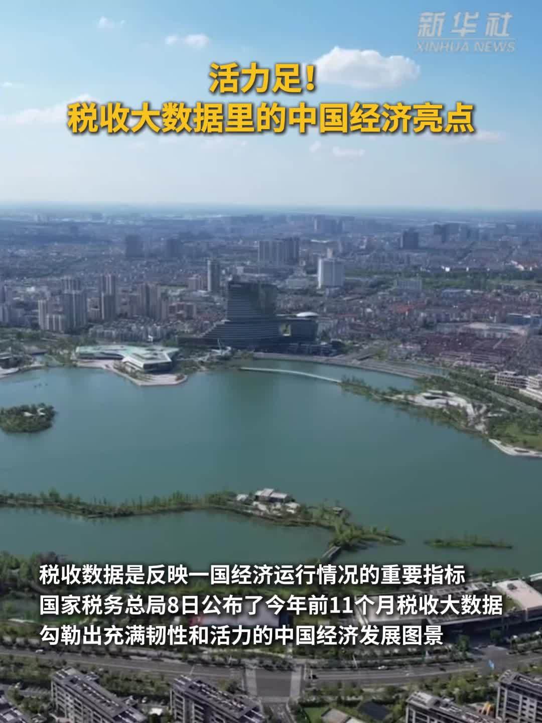 活力足！税收大数据里的中国经济亮点