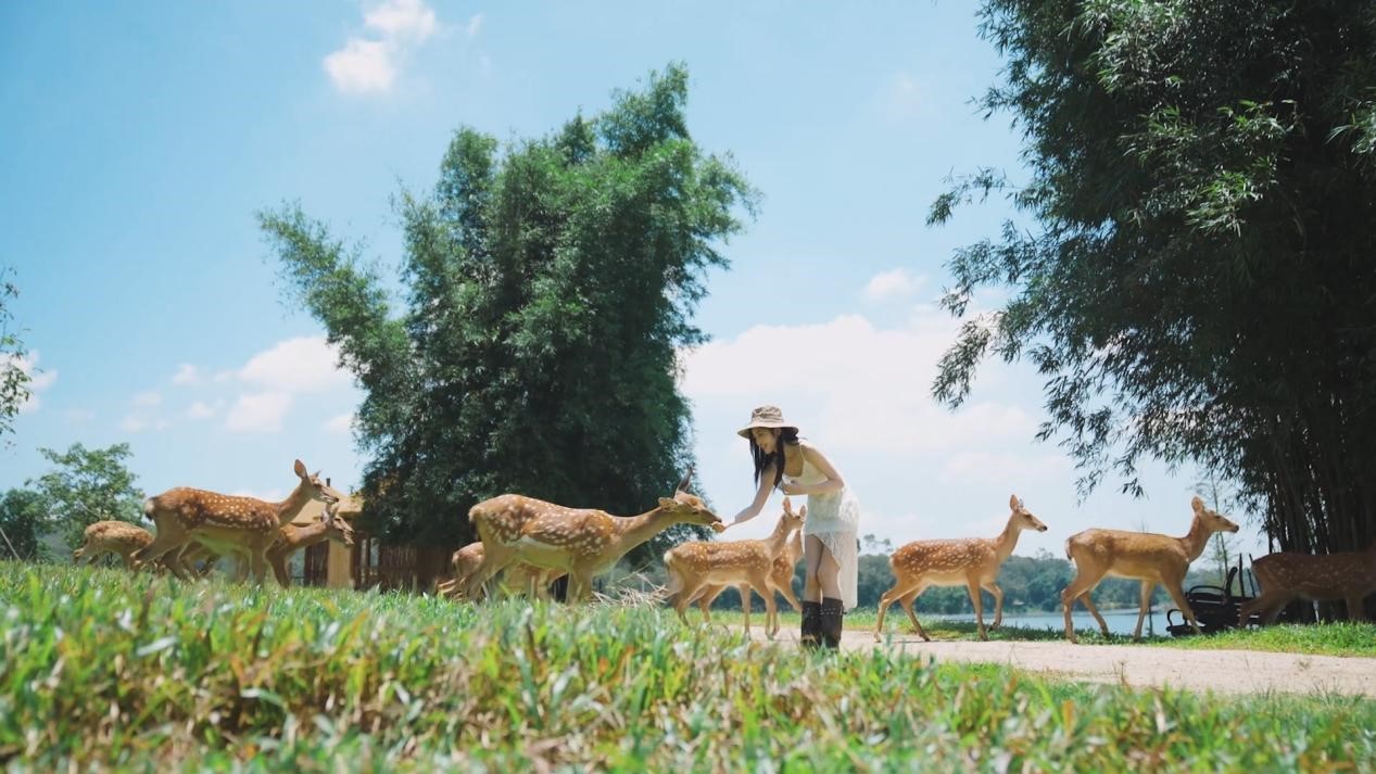 萌宠当家，花海为伴！广州马岭植物园成亲子露营打卡新热点