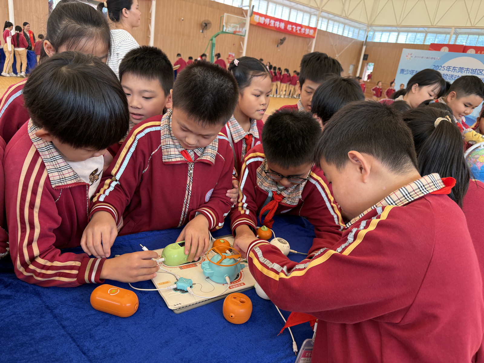 完美收官!东莞城区片区青少年科学调查体验活动走进东莞市东城中坚实验学校