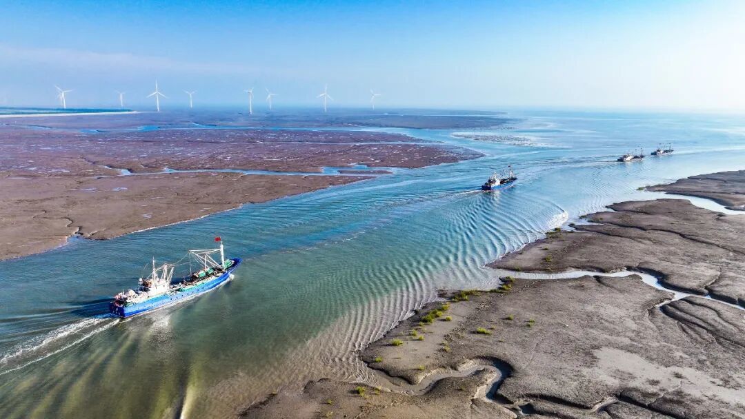 △南通“大开渔”壮观景象。徐书影摄