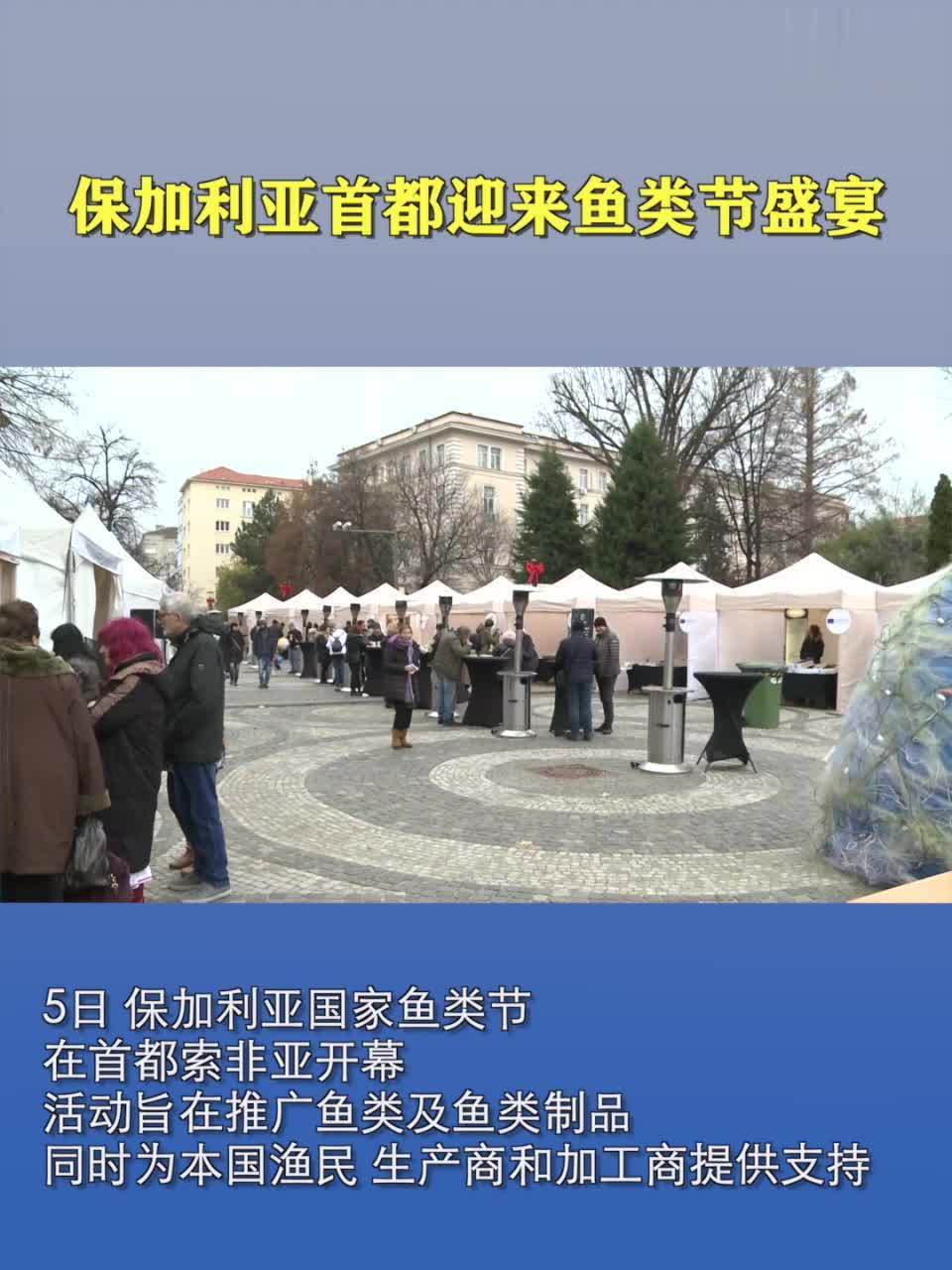 保加利亚首都迎来鱼类节盛宴