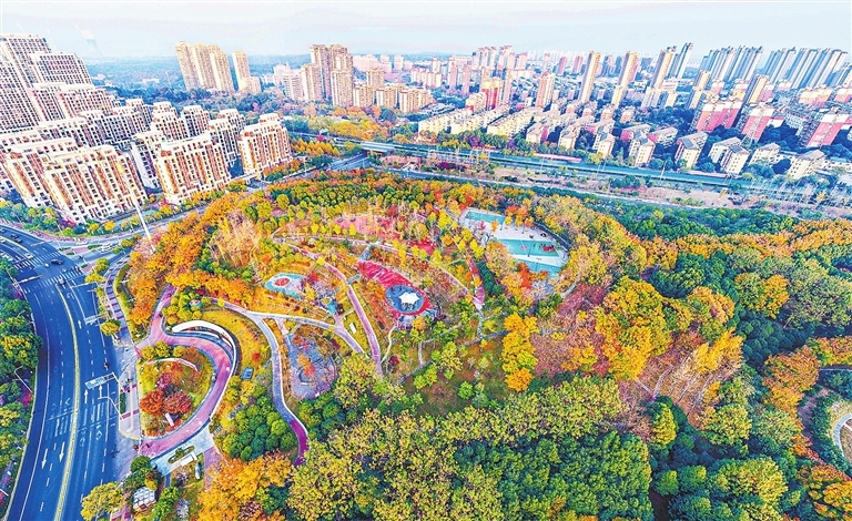 九江：冬日画卷 活力绿洲（图）