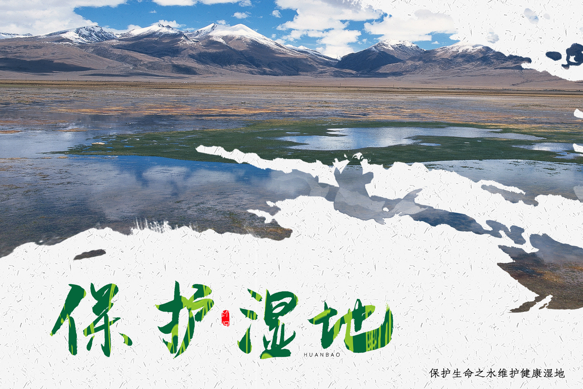 人与自然和谐共生 城阳区深化湿地保护与生态教育实践