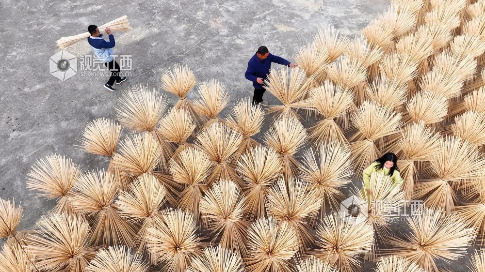 2025年12月16日，江西省宜春市万载县仙源乡统战信息员在仙源村帮助企业晾晒加工好的竹丝。