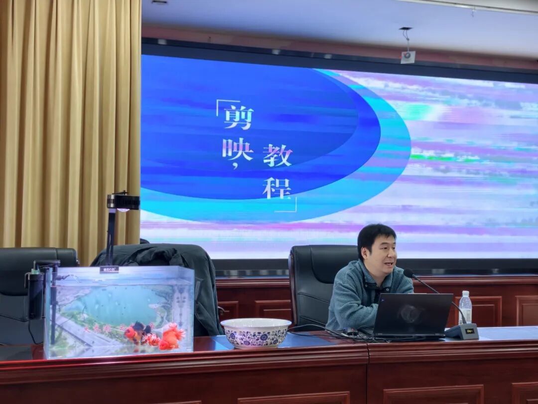 徐州云龙:这里的金鱼会直播