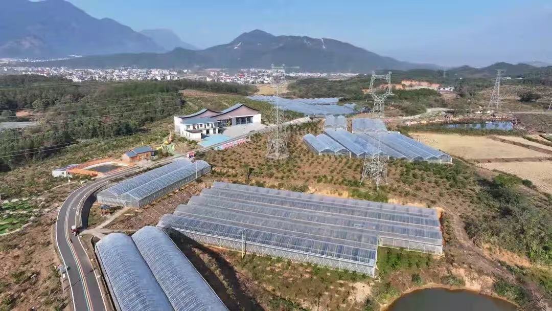 从“果园”到“致富园”九江庐山市华林村靠金果解锁乡村振兴新密码