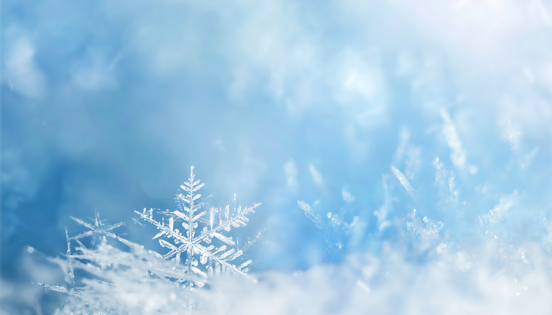 启动恶劣天气应急预案 市南交管确保雪天道路安全畅通