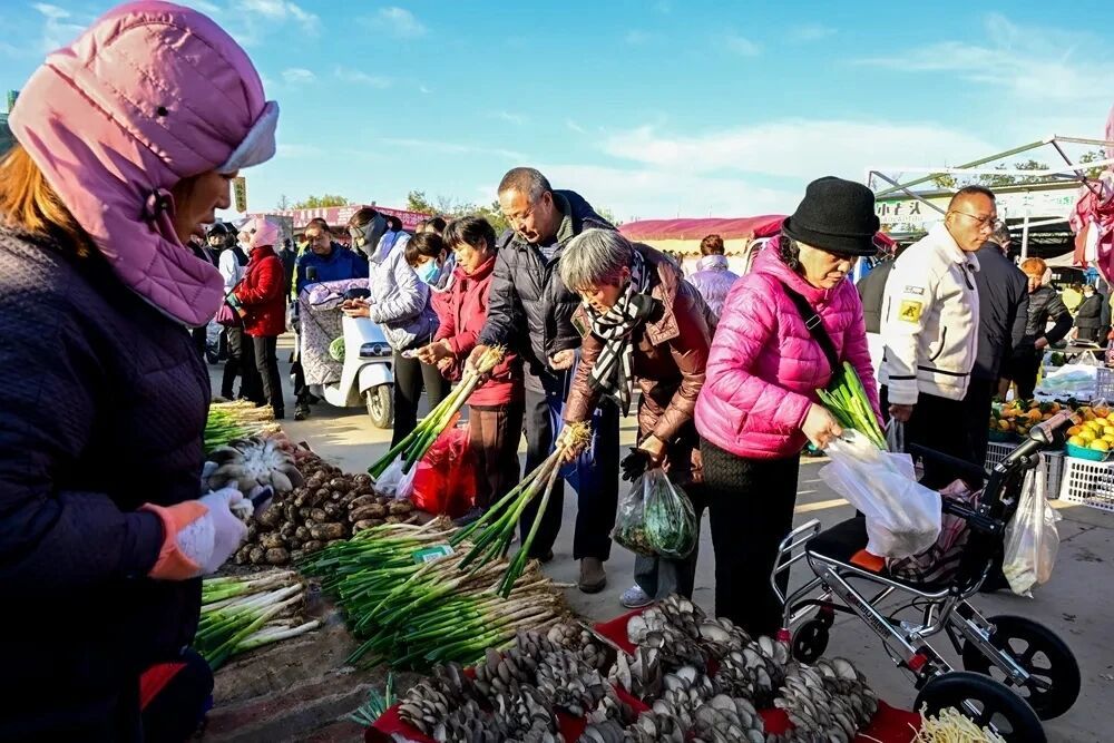 铜山汉王:打造高端文商旅养集聚区,赋能区域发展
