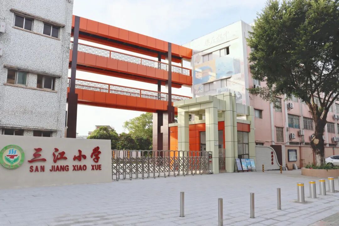 师资强、特色亮、品牌响！乐平镇6所公办小学2024学年交出亮眼成绩单