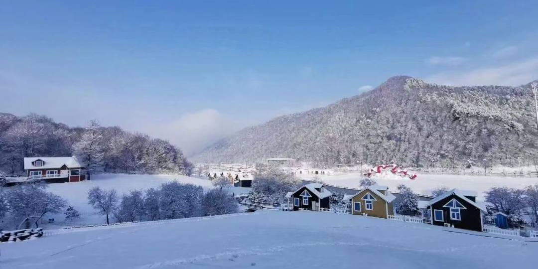 转角村大唐鹿野苑民宿体验区