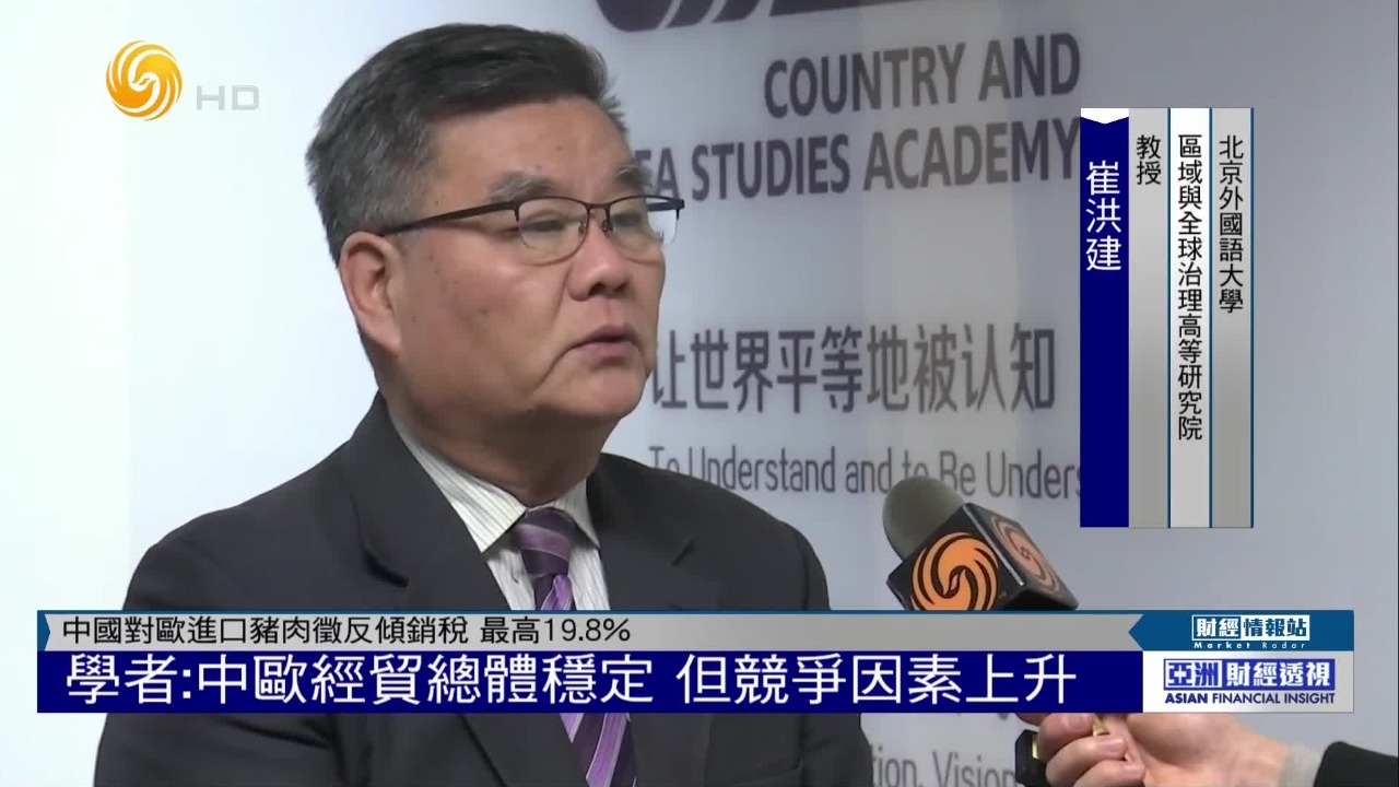 崔洪建：中欧经贸总体稳定，但竞争因素上升