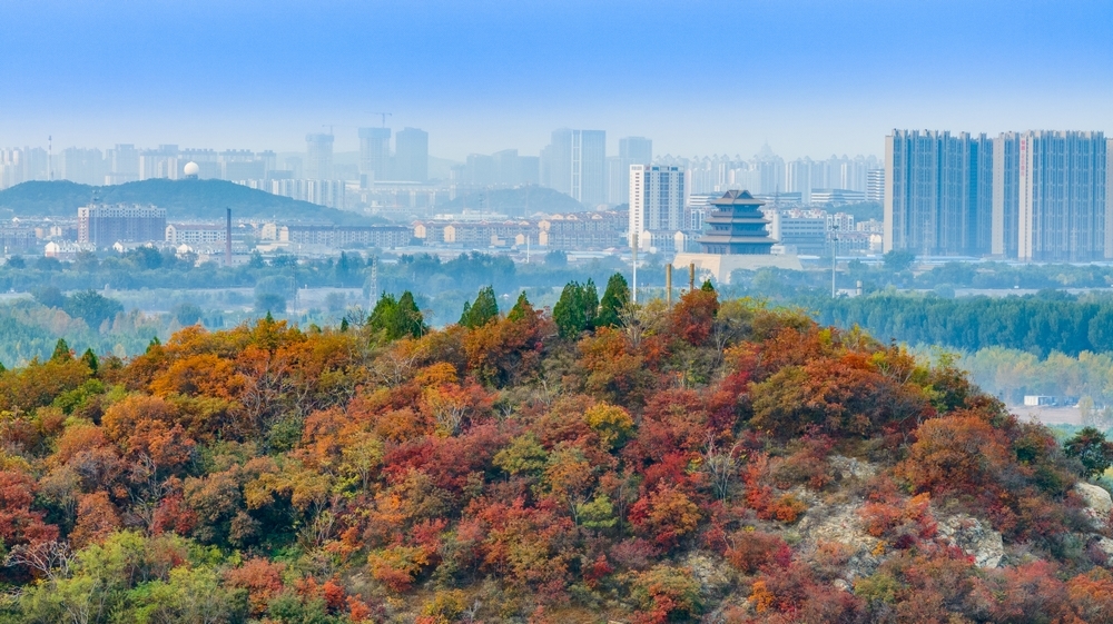 “天桥新韵&middot;时代映像”天桥区主题摄影大赛获奖作品出炉，邀您欣赏！（一）