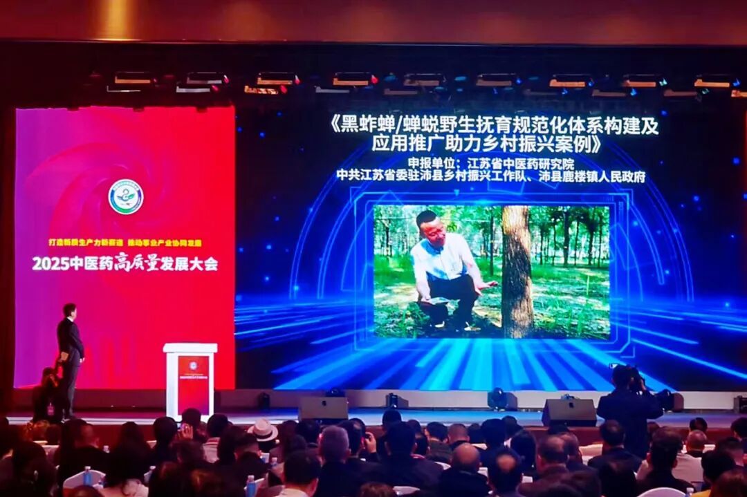 沛县鹿楼镇:“以蝉富民”模式获评全国“十大典型案例”